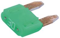 Coming Soon Mini flat fuse 30a