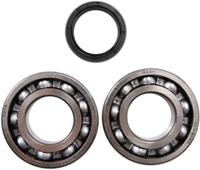 ALL BALLS Racing Crankshaft bearing set ab 24-1081 with simmerrings