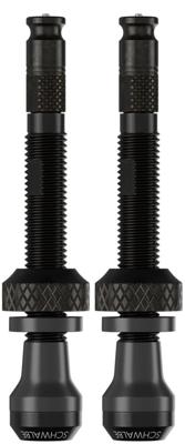 Schwalbe Ventiel scv