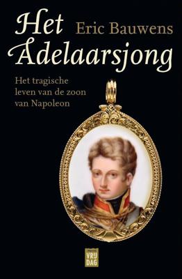 Het adelaarsjong (Paperback)