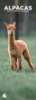 Alpacas Slimline Kalender 2026