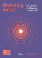 Bezieling werkt (Paperback)