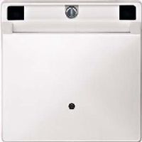 315319  - Cover plate for switch/push button white 315319 - thumbnail