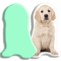Kleur Achterzijde: - Pillow Buddies