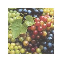 20x Gekleurde 3-laags servetten druiven 33 x 33 cm - thumbnail