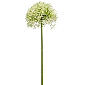 Allium/Sierui kunstbloem - losse steel - creme/groen - 62 cm - Natuurlijke uitstraling   -