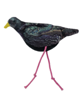 Wild Life Cat Starling (Spreeuw)
