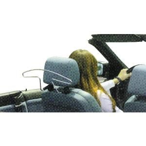 Carpoint Kledinghanger 'Dressbutler' 23450