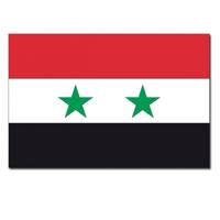 Vlag van Syrie - 90 x 150 cm - feestartikelen - Landen thema - supporters