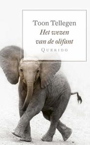 Het wezen van de olifant (Paperback)