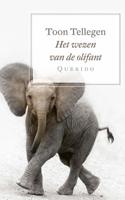 Het wezen van de olifant (Paperback)