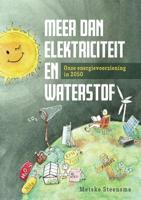 Meer dan elektriciteit en waterstof (Paperback)