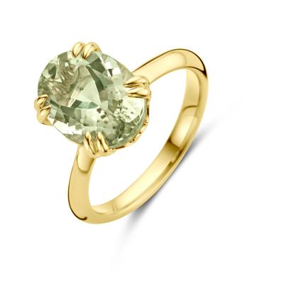 Elegante 14k Geelgouden Ring met Groene Amethist - 12x9mm