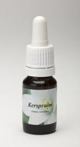 Kerspruim