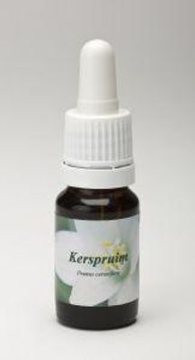 Kerspruim