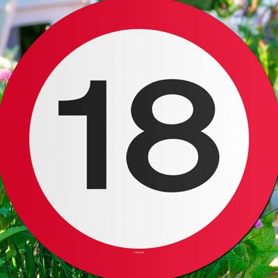 Leeftijd Tuin decoratiebord - 18 jaar verjaardag - karton - 26 cm - verkeersbord