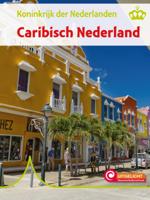 Caribisch Nederland (Hardback)