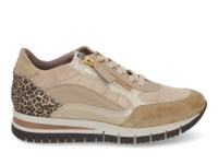 DL Sport 6329 vers 04  avena Beige  - thumbnail