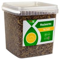 Vivani Vivani Meelwormen 5L