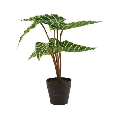 Kunstplant Alocasia Liane Groen