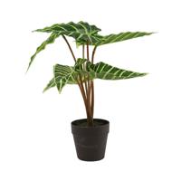 Kunstplant Alocasia Liane Groen