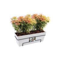 elho loft urban trough allin1 50 Buiten Plantenpot Ophanging Polypropyleen (PP) Wit - thumbnail