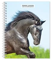 Paarden Agenda 2026