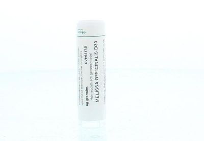 Melissa officinalis D30