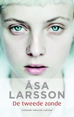 De tweede zonde - Åsa Larsson - ebook