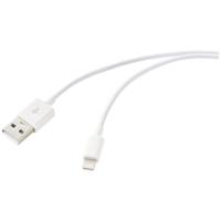 Renkforce USB-kabel USB 2.0 USB-A stekker, Apple Lightning stekker 3.00 m Wit (bevroren) RF-5724088 - thumbnail