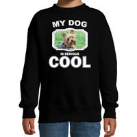 Yorkshire terrier honden trui / sweater my dog is serious cool zwart voor kinderen - thumbnail