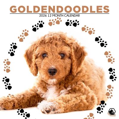 Goldendoodle Kalender 2026 Goldendoodle Kalender 2026