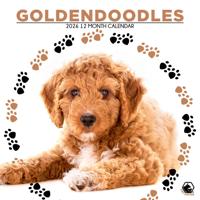 Goldendoodle Kalender 2026