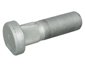 Wielbout 106085