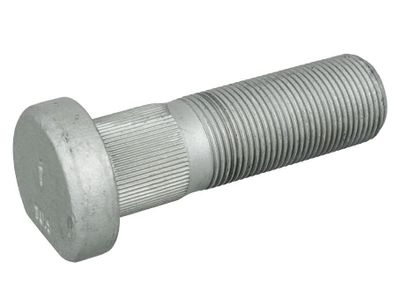 Wielbout 106085