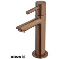 Wiesbaden Amador Fonteinkraan - Toiletkraan - Koudwaterkraan - XL - Kiwa - 1/2 - Geborsteld Brons Koper