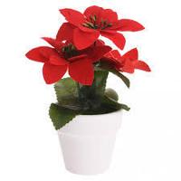 Overige Merken Kerstplant rood pot keramiek Overige Merken Kerstplant rood pot keramiek