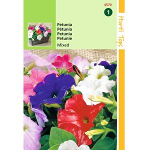 2 stuks - Hortitops - Petunia Hybrida Nana Compacta Gem.