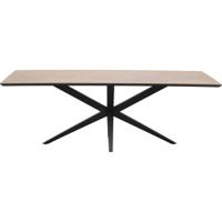 Eettafel Wexford Rechthoek
