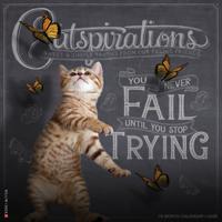 Catspirations Kalender 2026