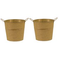 Mega Collections Emmer/plantenpot - 2x - zink - oud goud - D18 x H16 cm - Emmers