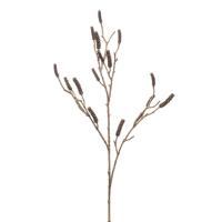 Callistemon branch brown 118 cm - Emerald