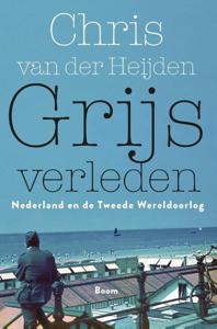Grijs verleden (Paperback)