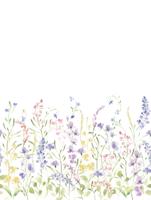 Dutch Cute Walls- Spring Flowers 212x280cm - CW6120-1
