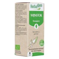 Herbalgem Wijnstok Maceraat Bio 30ml