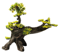 Superfish Deco Bonsai L - Japanse Zen Miniatuurboom Veilig voor Aquaria - Aquariumdecoratie