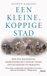 Een kleine, koppige stad - Andrew Harding - ebook