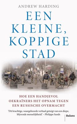 Een kleine, koppige stad - Andrew Harding - ebook
