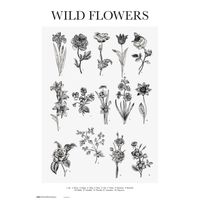 Poster Wild Flowers 61x91,5cm - thumbnail