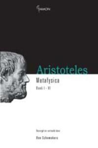 Metafysica (Hardback)